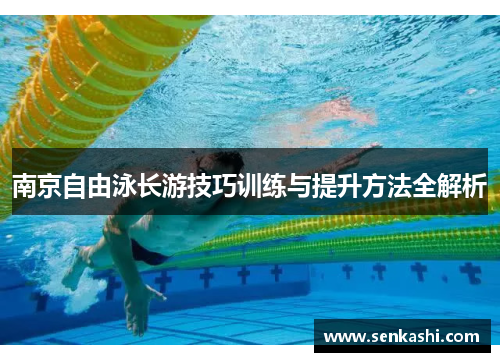 南京自由泳长游技巧训练与提升方法全解析