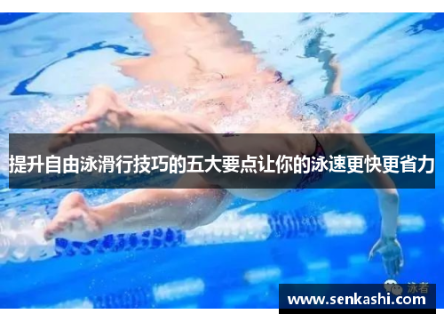 提升自由泳滑行技巧的五大要点让你的泳速更快更省力