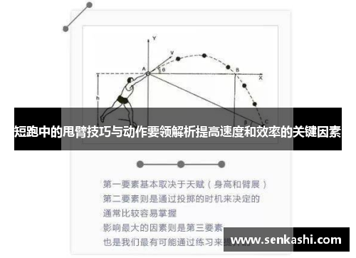 短跑中的甩臂技巧与动作要领解析提高速度和效率的关键因素