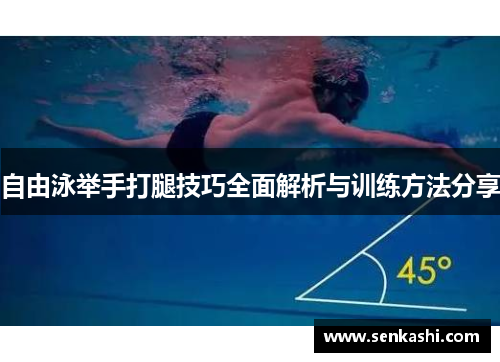 自由泳举手打腿技巧全面解析与训练方法分享