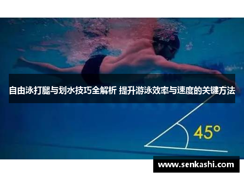 自由泳打腿与划水技巧全解析 提升游泳效率与速度的关键方法