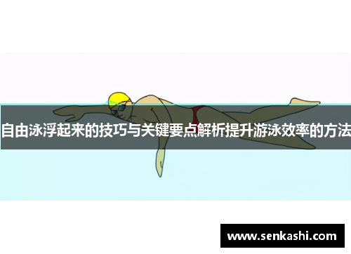 自由泳浮起来的技巧与关键要点解析提升游泳效率的方法