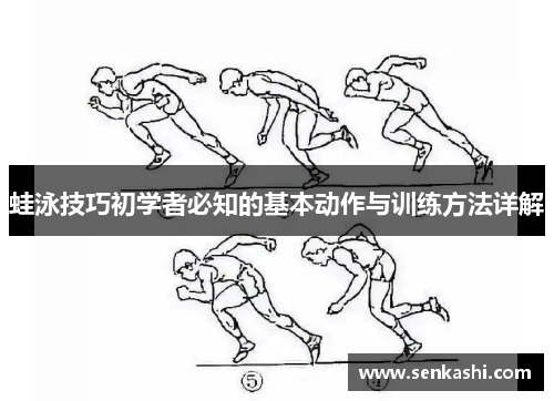 蛙泳技巧初学者必知的基本动作与训练方法详解