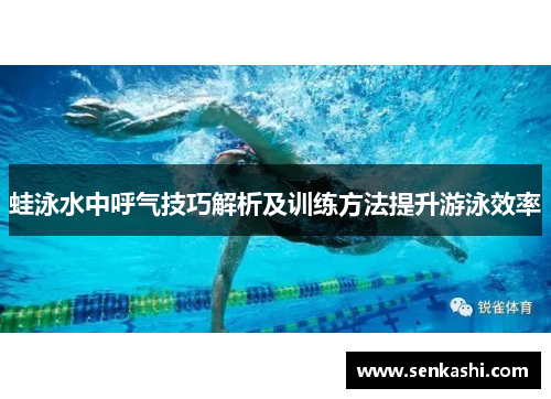 蛙泳水中呼气技巧解析及训练方法提升游泳效率