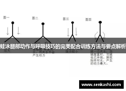 蛙泳腿部动作与呼吸技巧的完美配合训练方法与要点解析
