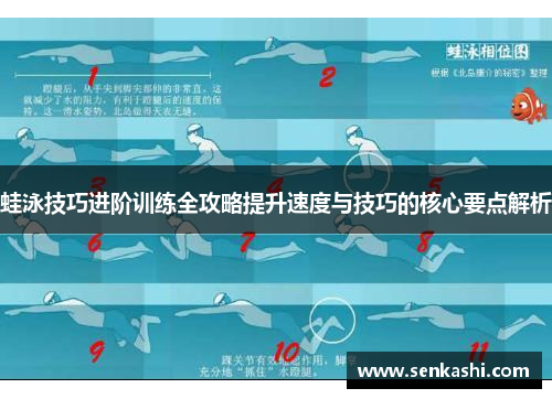 蛙泳技巧进阶训练全攻略提升速度与技巧的核心要点解析
