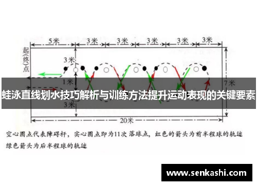 蛙泳直线划水技巧解析与训练方法提升运动表现的关键要素