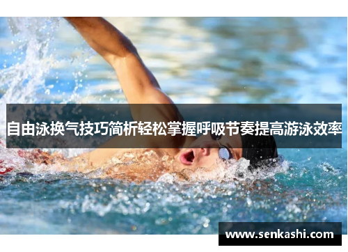自由泳换气技巧简析轻松掌握呼吸节奏提高游泳效率
